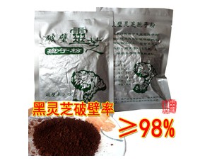 靈芝基地產地靈芝孢子粉的破壁率達98%以上
