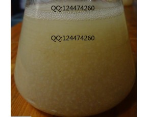 食用菌液體菌種培養(yǎng)基|培養(yǎng)料|設備