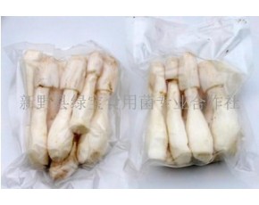 雞腿菇