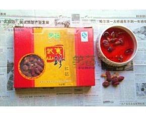 漳平特產野生紅菇