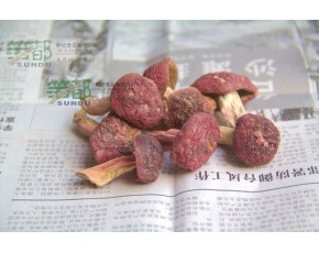 屏南原生態野生紅菇價格低價低價