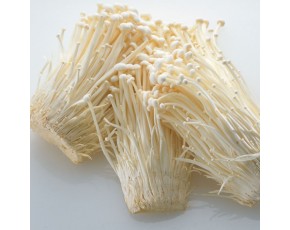 金針菇