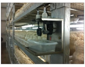 超聲波加濕器、食用菌移動培養床及架