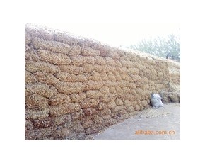 優質玉米芯
