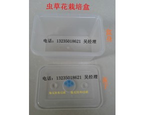 蟲草花專用 栽培盒