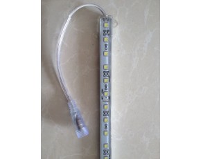 雙孢菇補光LED燈