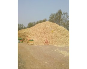 天津地區常年出售玉米芯及玉米芯顆粒
