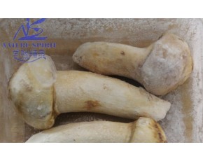 蟲草及野生食用菌