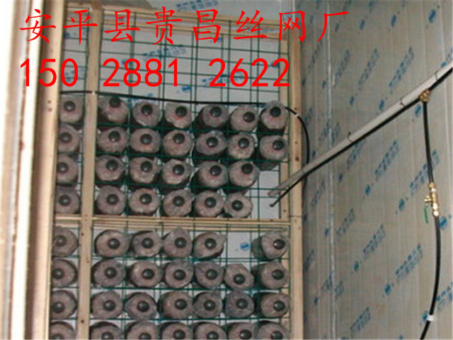 杏鮑菇網格網架/出菇網格網架