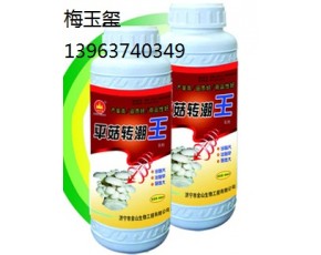 食用菌專用肥平菇轉潮王　 