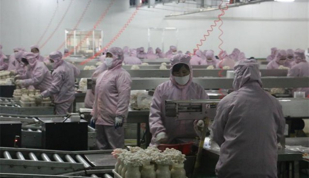 山東華驁植化集團福莙娃食用菌