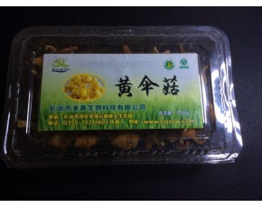 黃傘菇鮮菇，干菇