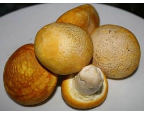 重要物資