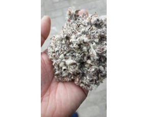 大量供應棉籽殼