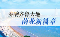 奏響齊魯大地菌業新篇章