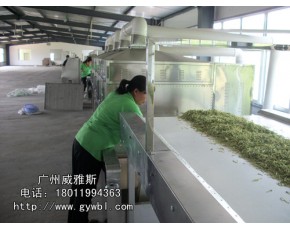 微波金銀花烘干設(shè)備