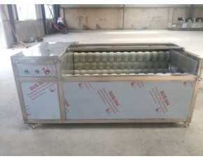 瑪卡清洗機，毛刷清洗機廠家，土豆清洗機廠家