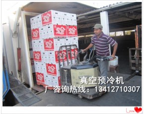 真空預冷機真空快速冷卻機真空速冷機食用菌制冷保鮮加工設備