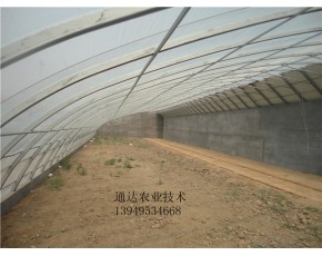 供應簡易拱棚晉城專業建造鋼結構大棚