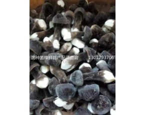 黑皮雞樅菌發到全國各地40元公斤
