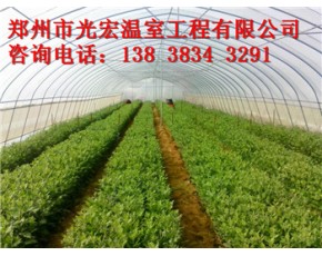新鄉光宏蔬菜大棚建造使用壽命長