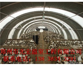 食用菌大棚建造方案許昌養殖大棚建造基地