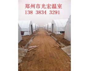 食用菌大棚建造報價朔州大棚建造標準