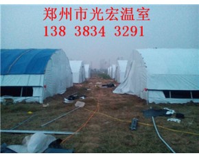 鄭州大棚供應商三門峽食用菌大棚建造規格