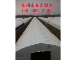 溫室大棚建造費用食用菌養殖大棚建造案例