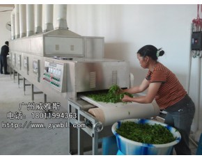 微波茶葉殺青設備