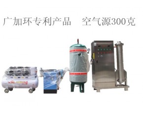 300g空氣源臭氧機(jī)
