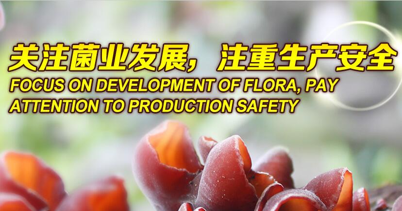 關(guān)注菌業(yè)發(fā)展，注重生產(chǎn)安全