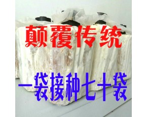 食用菌干貨土特產木簽枝條菌種栽培種金針菇榆黃蘑豬肚菌金福菇
