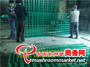 食用菌網格
