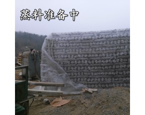 食用菌機械 2016新款鐵制常壓滅菌鍋爐 香菇袋料滅菌蒸汽爐