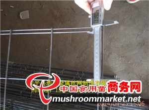 食用菌網格