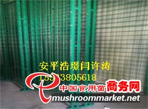 杏鮑菇網格架