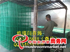 出菇網片
