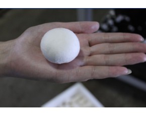 大量新鮮草菇、雙孢菇、白菇供應