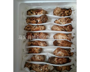 云南香格里拉野生新鮮松茸3-5規格