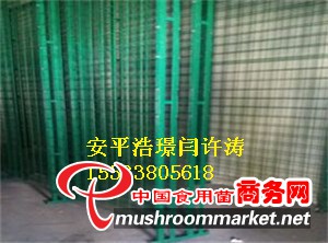 河北食用菌網格架