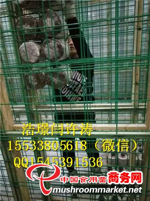 河北食用菌網格架