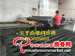 蘑菇網片廠商