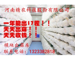 精農出菇房