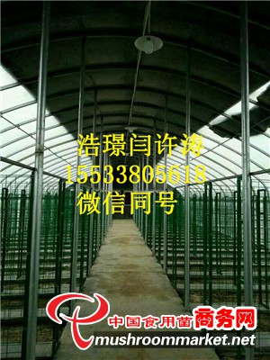 食用菌網格架