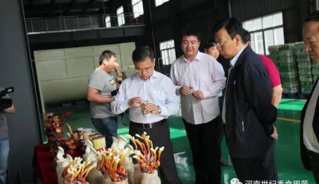 河南：省農業綜合開發公司董事長一行調研許昌世紀香食用菌公司