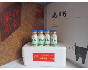食用菌專用EM菌種