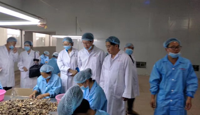 河南：省農業廳相關領導視察驗收九龍食用菌省級產業化集群