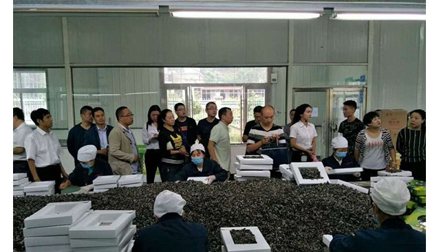 甘肅省隴南市食品藥品監(jiān)督管理局深入康縣興源指導培訓