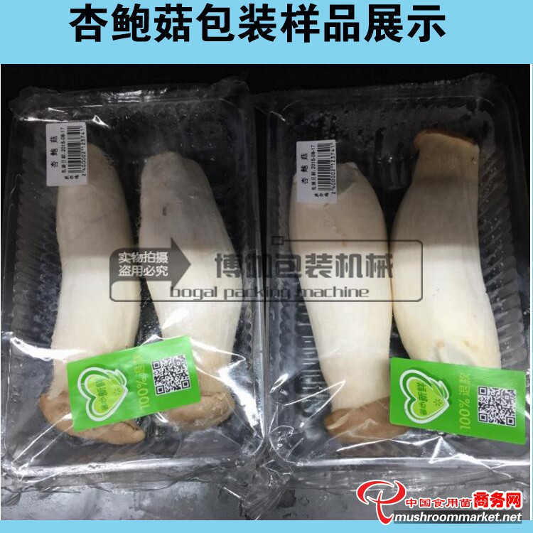 帶托盤杏鮑菇包裝機 廠家直銷